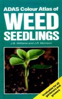 Colour Atlas of Weed Seedlings