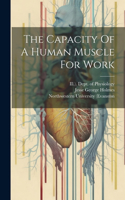 Capacity Of A Human Muscle For Work