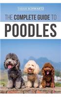 Complete Guide to Poodles