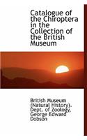 Catalogue of the Chiroptera in the Collection of the British Museum