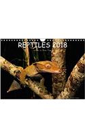 Reptiles / UK-Version 2018