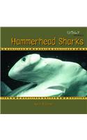 Hammerhead Sharks
