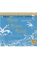 Three Rivers Rising