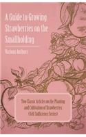 Guide to Growing Strawberries on the Smallholding - Two Classic Articles on the Planting and Cultivation of Strawberries (Self-Sufficiency Series)