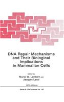 DNA Repair Mechanisms and Their Biological Implications in Mammalian Cells