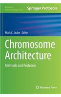 Chromosome Architecture