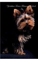 Yorkshire Terrier February Notebook Yorkshire Terrier Record, Log, Diary, Special Memories, To Do List, Academic Notepad, Scrapbook & More