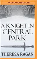 Knight in Central Park