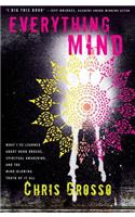 Everything Mind: What I've Learned about Hard Knocks, Spiritual Awakening, and the Mind-Blowing Truth of It All