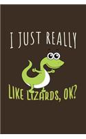 I Just Really Like Lizards, OK?