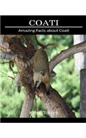 Amazing Facts about Coati