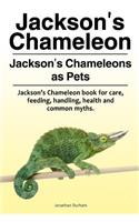Jackson's Chameleon. Jackson's Chameleons as Pets. Jackson's Chameleon book for care, feeding, handling, health and common myths.