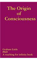 Origin of Consciousness