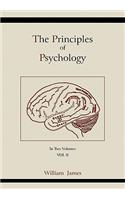 Principles of Psychology (Vol 2)