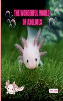 Wonderful World of Axolotls