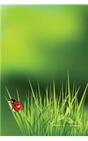 Ladybug Grass Notebook