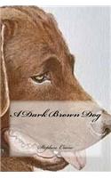 Dark Brown Dog