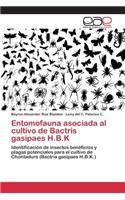 Entomofauna asociada al cultivo de Bactris gasipaes H.B.K