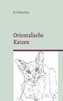 Orientalische Katzen
