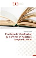Procédés de Pluralisation Du Nominal En Kabalaye, Langue Du Tchad