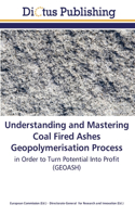 Understanding and Mastering Coal Fired Ashes Geopolymerisation Process