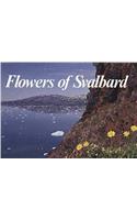 Flowers of Svalbard