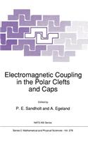 Electromagnetic Coupling in the Polar Clefts and Caps