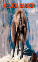 Gelada Baboon: Amazing Facts about Gelada Baboon