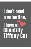 I don't need a valentine, I have a Chantilly Tiffany Cat: For Chantilly Tiffany Cat Fans