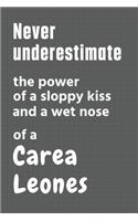 Never underestimate the power of a sloppy kiss and a wet nose of a Carea Leones