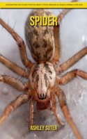 Spider: Fascinating Facts and Photos about These Amazing & Unique Animals for Kids