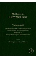 Mechanisms of DNA Recombination and Genome Rearrangements: Methods to Study Homologous Recombination