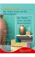 Rollercoasters:My Sister Lives on the Mantelpiece Reading Guide