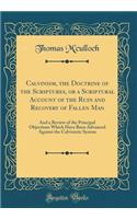 Calvinism, the Doctrine of the Scriptures, or a Scriptural Account of the Ruin and Recovery of Fallen Man: And a Review of the Principal Objections Which Have Been Advanced Against the Calvinistic System (Classic Reprint)