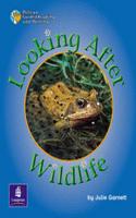 Looking After Wildlife Year 2