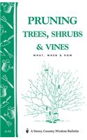 Pruning Trees, Shrubs & Vines: What, When & How