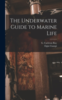 Underwater Guide to Marine Life