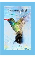 Humming Bird: Novelty Lined Notebook / Journal To Write In Perfect Gift Item (6 x 9 inches) For Bird Watcher and Bird Lovers/ Kids & Adults, Hobbies, Wildlife Bir