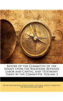Report of the Committee of the Senate Upon the Relations Between Labor and Capital, and Testimony Taken by the Committee, Volume 3