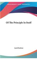 Of the Principle in Itself