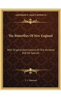 The Butterflies of New England