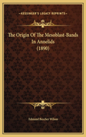 The Origin Of The Mesoblast-Bands In Annelids (1890)