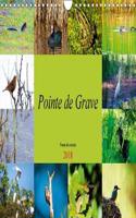 Pointe de Grave - Faune des marais 2018