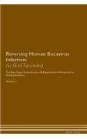 Reversing Human Bocavirus Infection: As God Intended the Raw Vegan Plant-Based Detoxification & Regeneration Workbook for Healing Patients. Volume 1