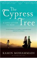 The Cypress Tree