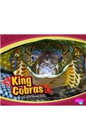 King Cobras