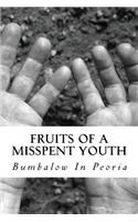 Fruits Of A Misspent Youth: Bo Bumbalow(English)