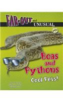 Boas and Pythons: Cool Pets!