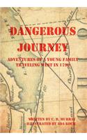 Dangerous Journey