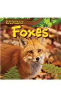Foxes: (Creatures of the Forest Habitat)